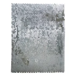 Backdrop zilver 30 x 30 cm 6 stuks