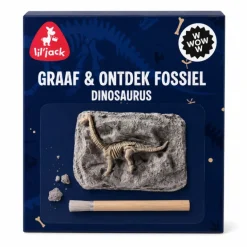 Dinosaur Excavation Fossil