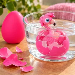 Flamingo uitbroei ei