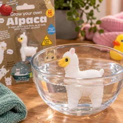 Grow your own Alpaca