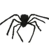 Harige spin Halloween zwart