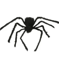 Harige spin Halloween zwart