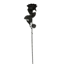 Roos Halloween zwart