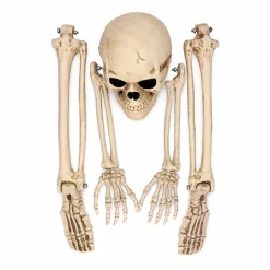 Skelet Halloween 5 delig