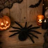 Spin Halloween griezelig zwart
