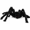 Spin Halloween zwart 50cm