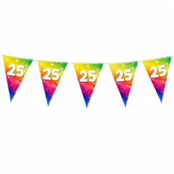 Vlaggenlijn regenboog folie 25 jaar - 6m