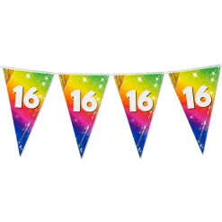 Vlaggenlijn regenboog folie 16 jaar - 6m