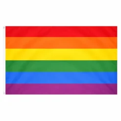 Vlag regenboog - 150 x 90 cm